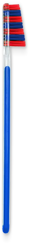 scalare 33